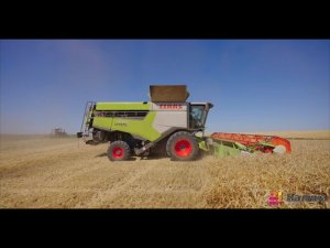 Комбайн CLAAS LEXION 7700 и автопилот Trimble. #россия #комбайн #claaslexion