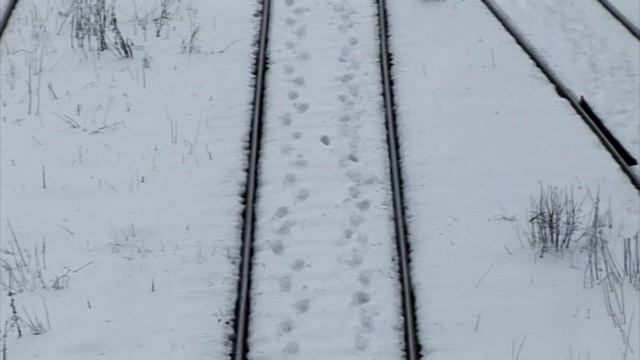 Подружки невесты 2.1 смотреть онлайн