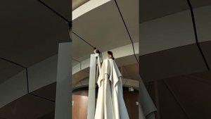 Майна обыкновенная(пение)