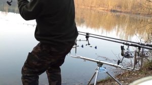 КАРПОВАЯ РЫБАЛКА Работа сигнализаторов