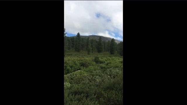 Западные Саяны смотреть онлайн