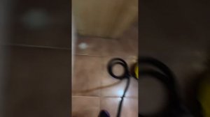 Клетка для белки. Как оборудовать клетку для белки.