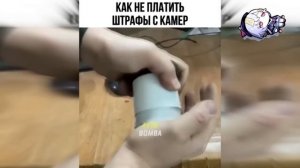 Дураки и дороги 2024 Царь дорог Их трудно понять, Авто моменты #109