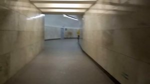 Прогулка по станциям питерского метро. Часть 7 (Гостиный двор - Невский проспект)