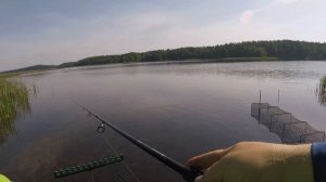 Ловля подлещика и леща фидером на озере Белое.