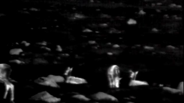 Pulsar Axion XM30 Thermal Monocular example - red deer смотреть онлайн