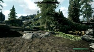 Como aumentar seu FPS no Skyrim! (HiAlgoBoost)