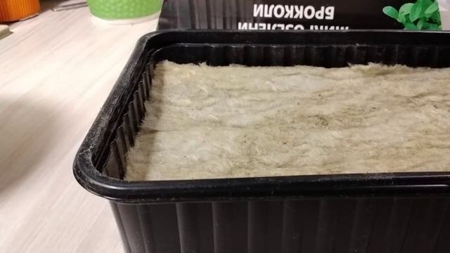 как садить микрозелень