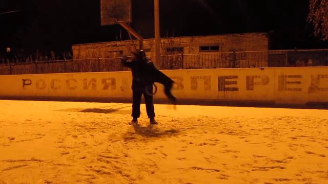 Дог-пуллер прыжки Дорофеева А. и доберман Ночной Рыцарь смотреть онлайн