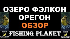 Обзор озера Фэлкон в игре Fishing Planet