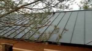 Лучшая крыша для каркасного дома |  Фальцевая кровля