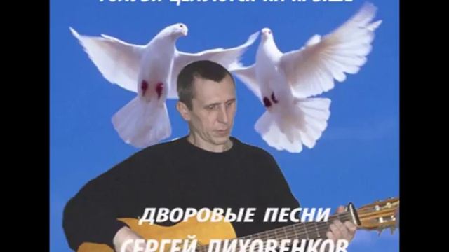 Голуби слушать. Голубь певец. Песни про голубей. Голуби целуются на крыше. Шансон голуби.