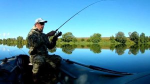 рыбалка на оке  спиннинг нарвал аргумент