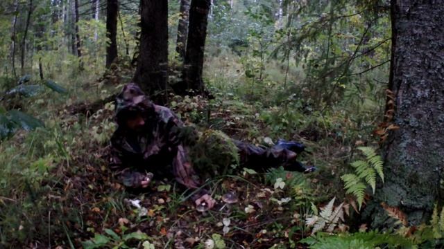 Особенности сбора грибов. СОВЕТЫ. ЗАМЕТКИ. Грибник-ДОЖДЕВИК. смотреть онлайн