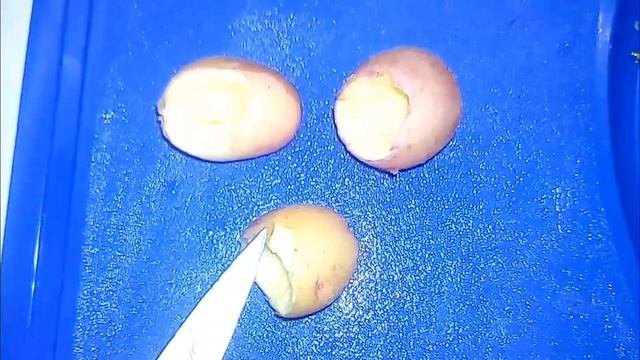 Готовим 