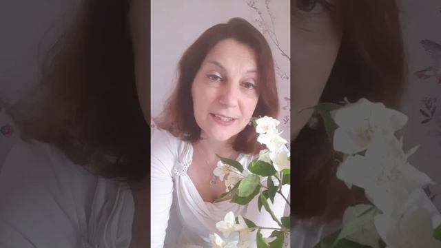 Медитация "Прошу прощения у тела" смотреть онлайн