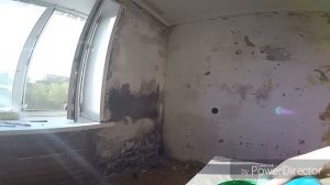 ГРУНТОВКА СТЕН / ОБРАБОТКА СТЕН ОТ  СЫРОСТИ/ ПОБЕЛКА ПОТОЛКА/ ДЕЛАЮ РЕМОНТ КОМНАТЫ # 2