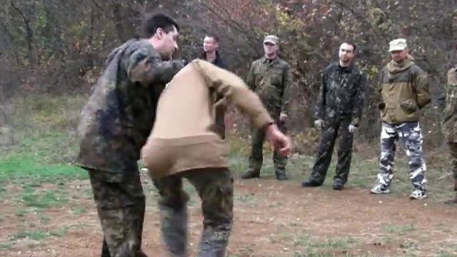 Учебник по нейрофизиологии - Раздел 8 смотреть онлайн