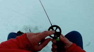 Блеснилка для окуня.