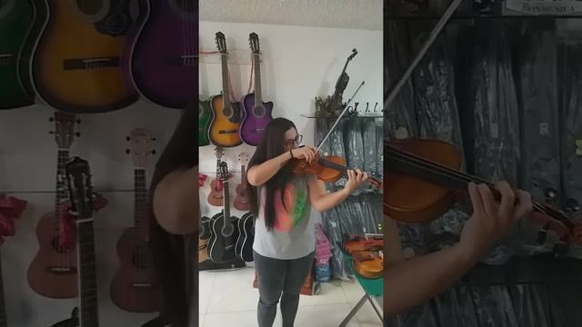 VIOLIN FABRICACION REPUBLICA CHECA ENTREGA A DOMICILIO