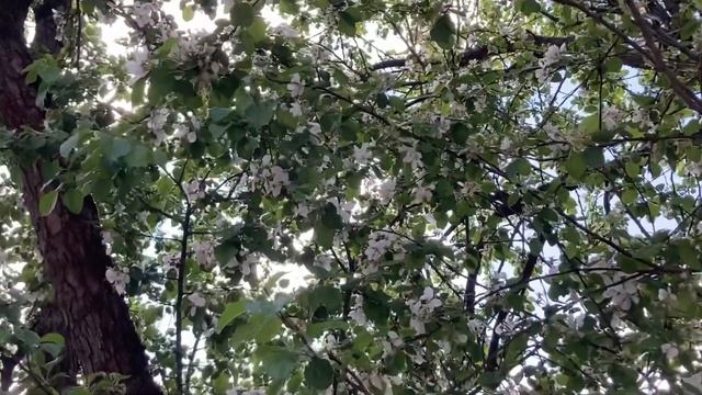 Цветотип «Весна». ПСИХОЛОГИЯ ЦВЕТА