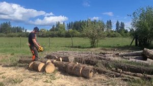 Pro Mac 55 cutting firewood for a neighbor