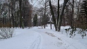 Санкт-Петербург, в Ботаническом саду