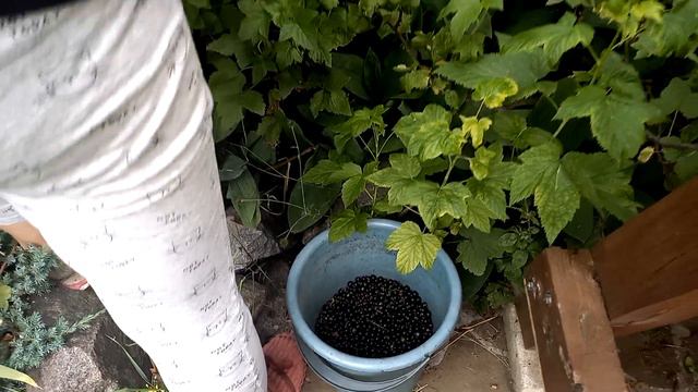 Женщины и дети. Часть 5 смотреть онлайн