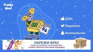 Шайка Дурачков 96