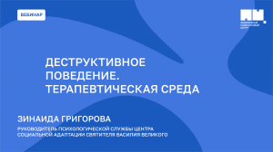 Деструктивное поведение. Терапевтическая среда