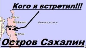 Кого я встретил на Сахалине.