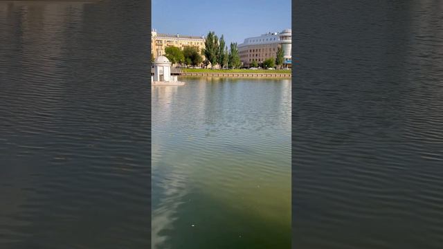 Астрахань. Лебединое озеро 🦢🦢#астрахань #лето #отдых #путешествие #лебеди #лебединоеозеро