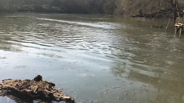 Отчистка водоема,внесение извести в пруд с рыбой.