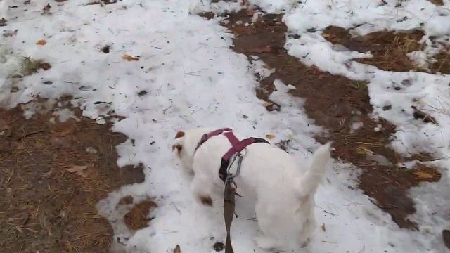 Ого, я не знала, что столько раз уже прочли название к видео #ивысмотрите #книги #myday смотреть онлайн