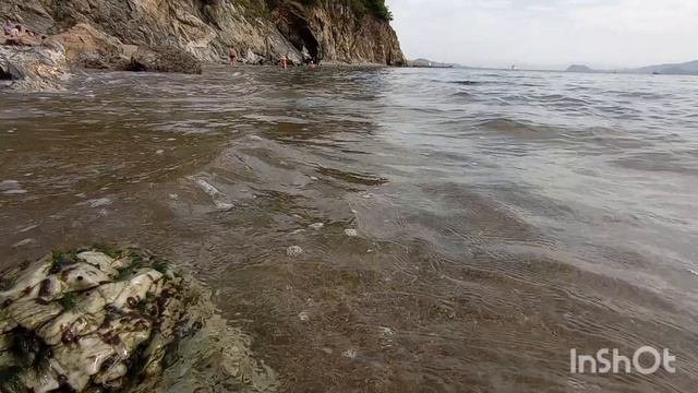 Море...лето...