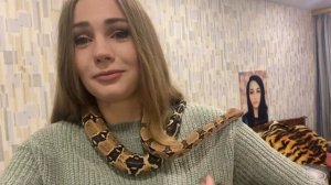 Настоящая змея ?