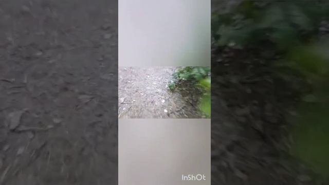 Фильм выживший