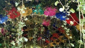 Miracle Garden, Dubai ENG Парк Цветов Дубай, как до него добраться