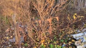 Подготовка Участка к Зиме, Разгребаем Участок От Мусора, Впервые Затопили Камин, Работа По Дому)