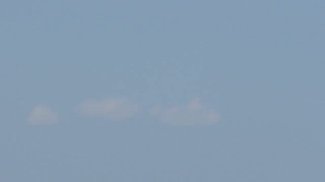 Экскурсия в долину лотосов Ахтанизовский лиман смотреть онлайн