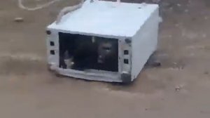 ЧТО ЕСЛИ КАМЕНЬ КИНУТЬ В СТИРАЛКУ? (3gp)