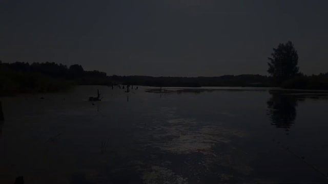 РЫБЫ НЕТ зато подкачался. смотреть онлайн