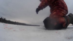 ЗИМНЯЯ РЫБАЛКА НА ЖЕРЛИЦЫ 2019-2020 (Сурское водохранилище) ЖОР ЩУКИ!!!
