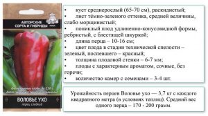 Сорт перцев Воловье ухо