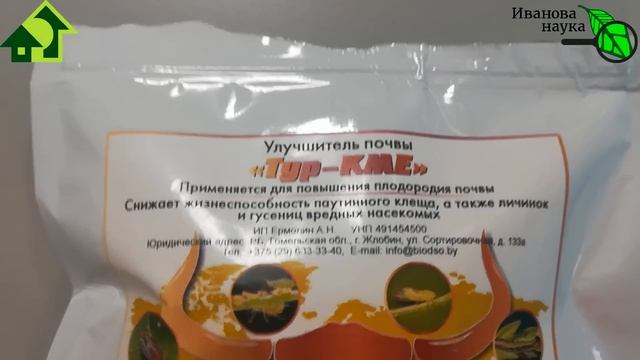 КАПУСТА РАСТЕТ БЕЗ ВРЕДИТЕЛЕЙ и БОЛЕЗНЕЙ! Безопасно избавьтесь от вредителей и гнилей на капусте. смотреть онлайн