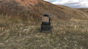 Сайга 410 / Урон от травматического и дробового патронов.