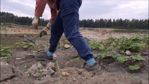 Поиск окаменелостей в карьере Пески. Юрский и Каменноугольный периоды.
