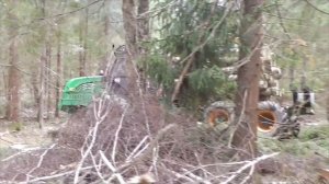 Форвардер Амкодор 2661-01 в работе. Сбор и перевозка леса. Лес в Беларуси.