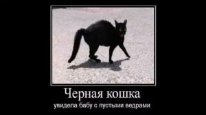 самые свежие демотиваторы кайфолог