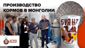 Линия производства экструдированных и гранулированных кормов. Запуск в Монголии.